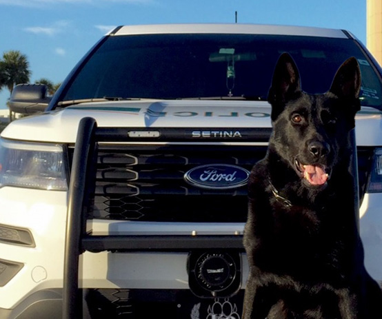 service-explosive-detection